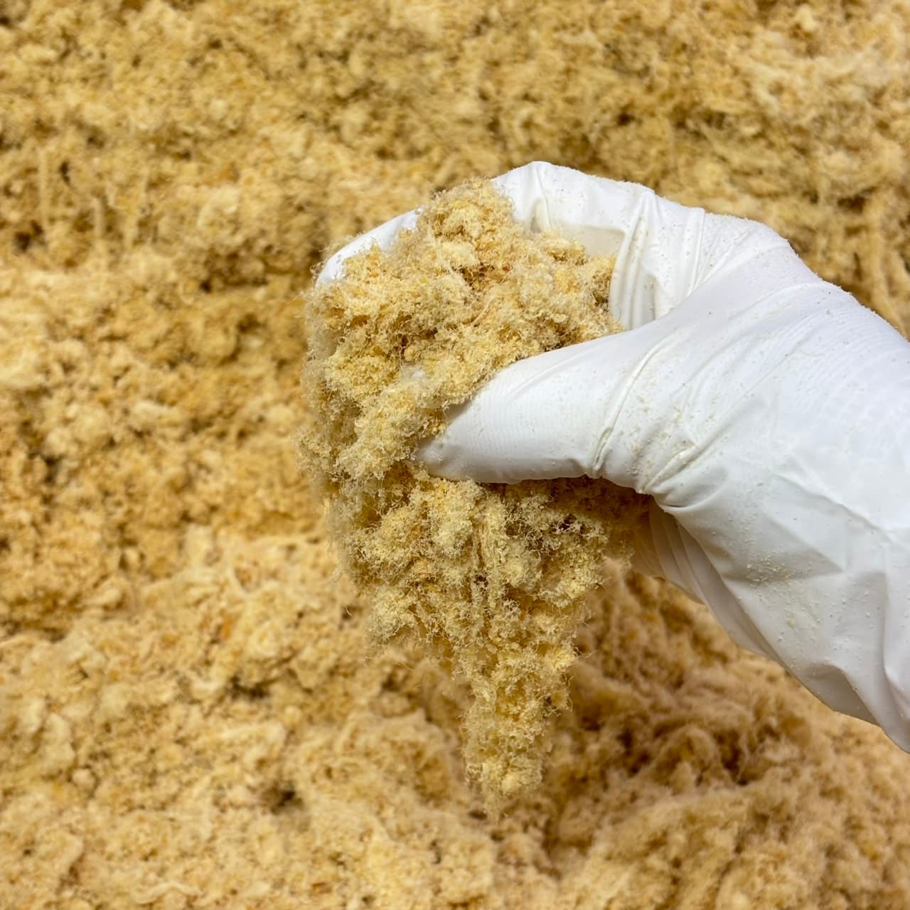 หมูหยองเบเกอรี่ vs หมูหยองทั่วไป: ความแตกต่างที่ร้านขนมต้องรู้