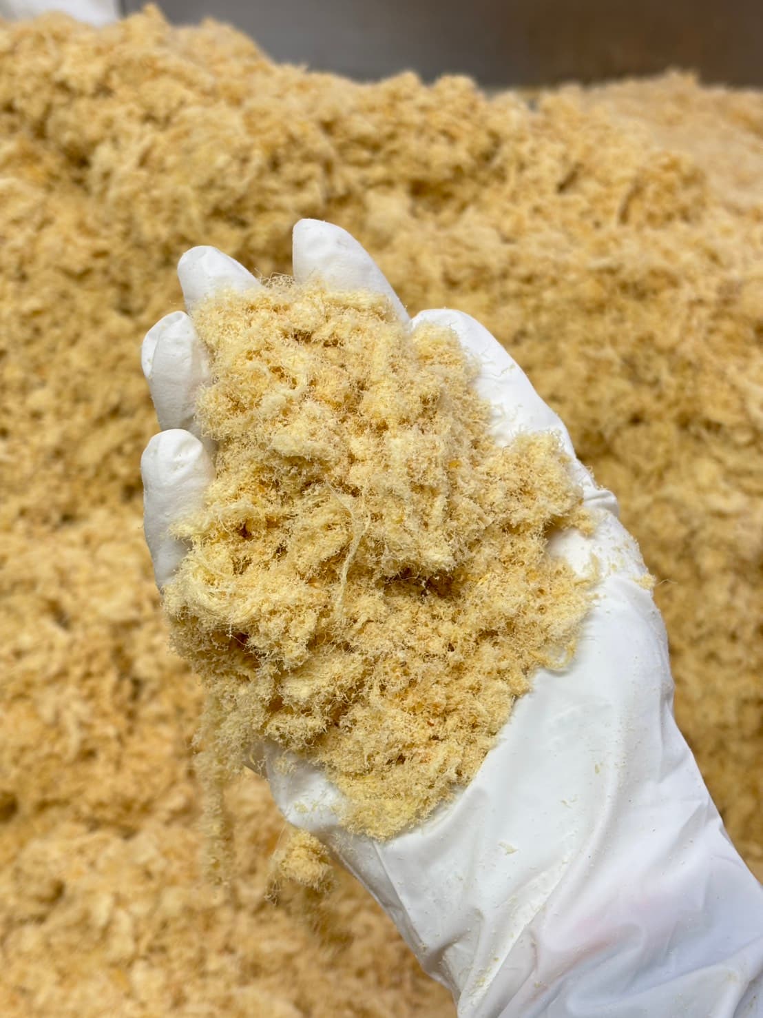 5 เทคนิคเลือกหมูหยองสำหรับร้านเบเกอรี่ ให้ได้เส้นสวย ไม่ป่น