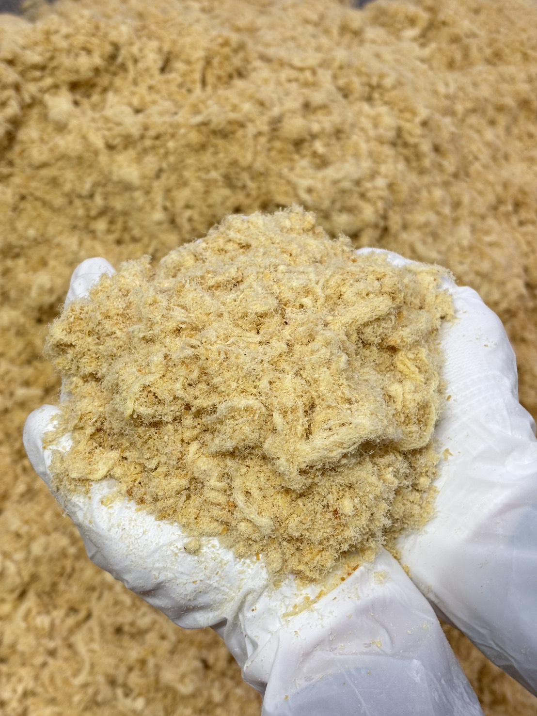 หมูหยองเบเกอรี่เกรดพรีเมียม เส้นสวย ฟู ไม่ป่น สำหรับแต่งหน้าขนมปัง